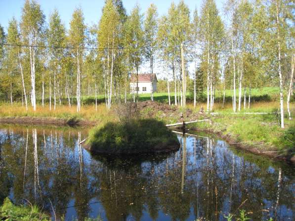 Новый дом на 140 сотках на озере у леса в Санкт-Петербурге фото 13
