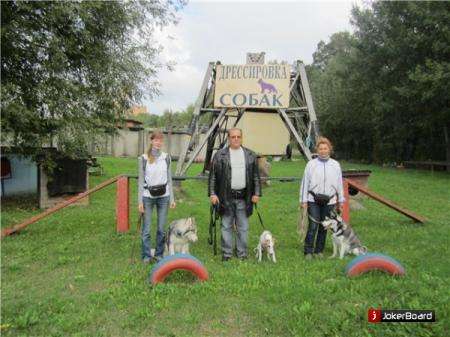 дрессировка собак в северном округе в Москве фото 6