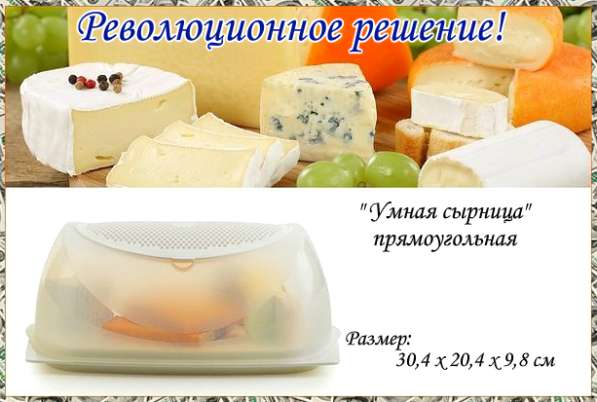 "Умная сырница" прямоугольная Tupperware в Калининграде фото 4
