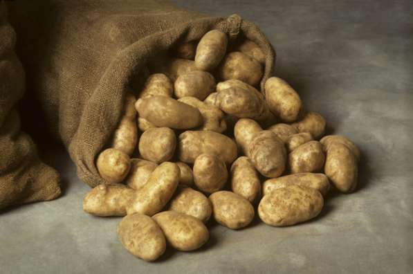 Продам деревенский картофель в Волоколамске фото 3