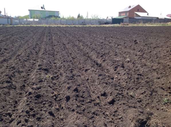 Земля,подготовленная к посадке картофеля,колич.сот.по желани в Красноярске