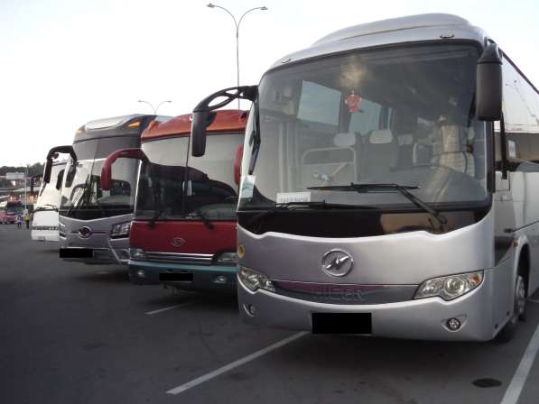 Заказ автобуса в Краснодаре крае-на море в горы ВА в Краснодаре