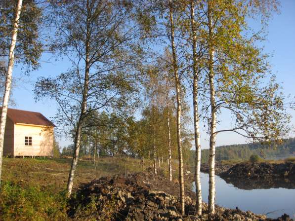 Продам ижс дом на 290 сотках на берегу озера и реки у леса в Санкт-Петербурге фото 9