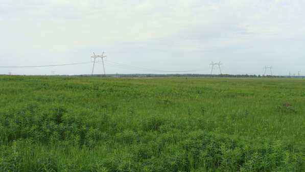 Продажа земельного участка в Москве фото 7