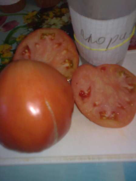 Продаю семена томатов для ОГ и теплиц, более 100 сортов! в Коломне фото 3