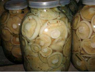 соленые грибы грузди в 3 л банках в Тюмени фото 3