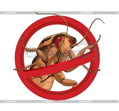 Уничтожение клопов тараканов НАНО технология 777р в Ногинске фото 3