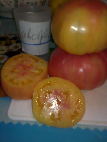 Продаю семена томатов для ОГ и теплиц, более 100 сортов! в Коломне фото 12