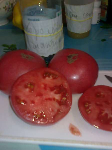 Продаю семена томатов для ОГ и теплиц, более 100 сортов! в Коломне фото 6