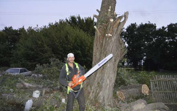 Удаление аварийных опасных труднодоступных деревьев в Белгороде