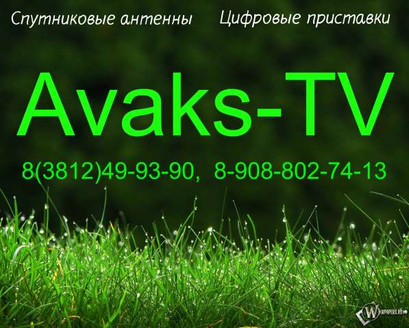 Триколор Телекарта Континент НТВ+ в Омске в Омске