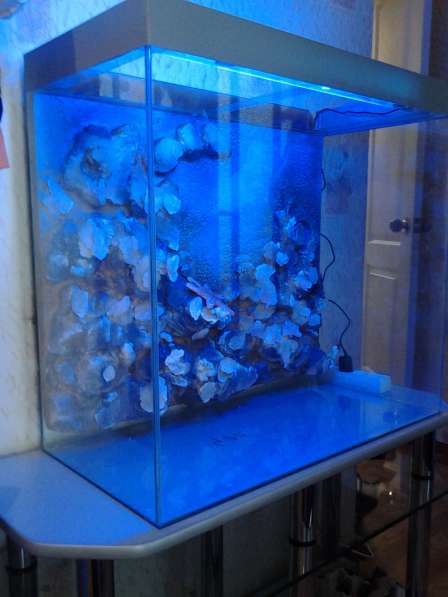 Изготовление аквариумов в Кемерове фото 3