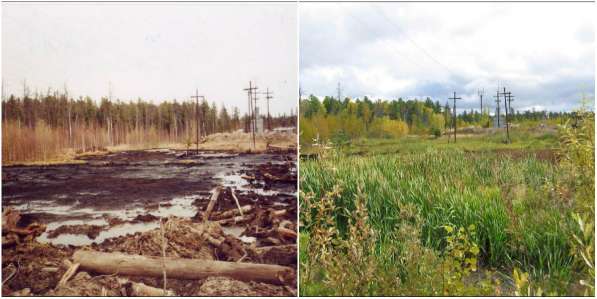 Рекультивация нефтезагрязненных земель в Томске фото 3