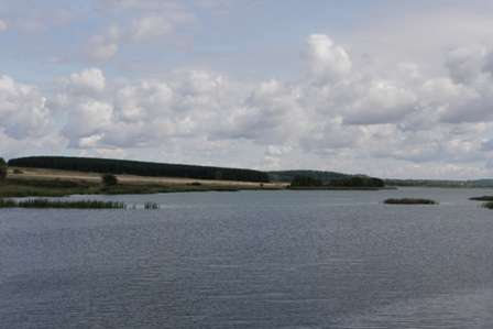 Зем. участок с видом на озеро 0,8 га, д. Инютино в Богородске фото 5