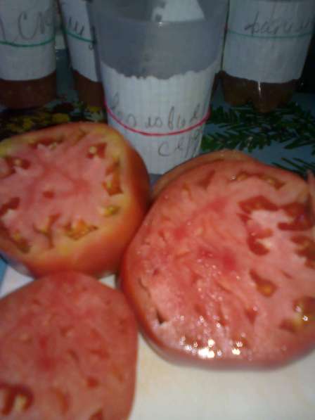 Продаю семена томатов для ОГ и теплиц, более 100 сортов! в Коломне фото 5
