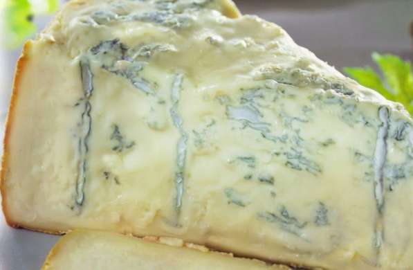 Экскурсия на производство: итальянский сыр с плесенью Горгон в 