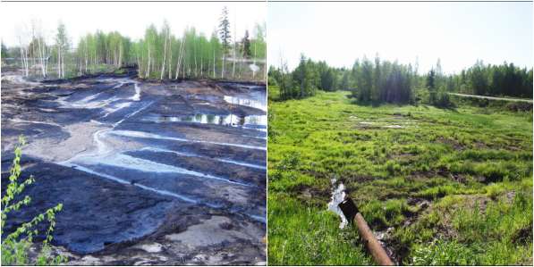 Рекультивация нефтезагрязненных земель в Томске