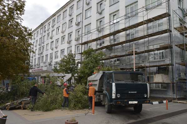 Спил, кронирование, валка деревьев в Белгороде фото 5