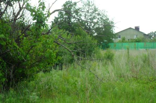 земельный участок для размещения выставочной площадки в Саратове фото 4