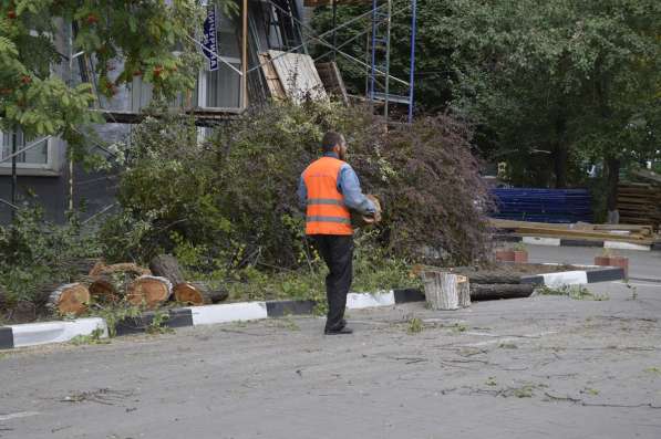 Спил, кронирование, валка деревьев в Белгороде фото 8