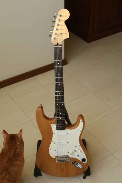 Stratocaster с сетом Lace Sensor