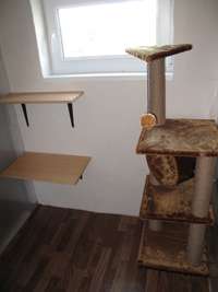 Гостиница для собак Собачья Дача в Екатеринбурге фото 3