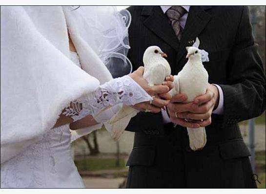 Свадебные голуби в Екатеринбурге фото 4