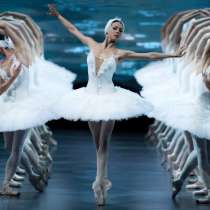 Лебединое озеро- балет, в Москве
