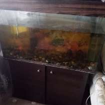 Продам аквариум с рыбками, в г.Караганда