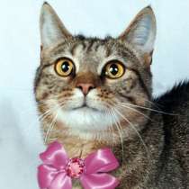 наша крупная Кама, в Санкт-Петербурге