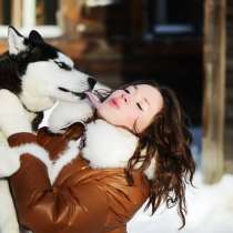 Щеночки хаски черно-белые, голубоглазые и разноглазые, в Переславле-Залесском