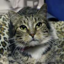 Проницательная Франсуаза ищет настоящую семью, в Москве