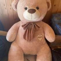 Плюшевый медведь, в Краснодаре