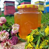 Цветочный мед 2025, в Тамбове