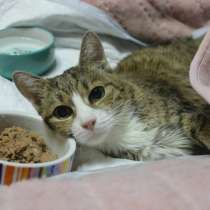 Трогательная Таша в ожидании настоящего чуда, в Москве