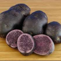 Продам картофель с фиолетовой мякотью, в Санкт-Петербурге