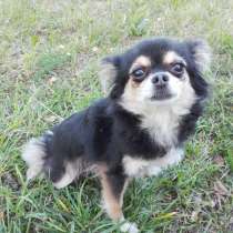 Взрослая девочка для души, в Санкт-Петербурге