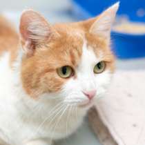 Милая красавица Алевтина ждёт свою семью, в Москве