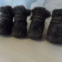 Ботиночки зимние 2-й размер для собаки, в Москве