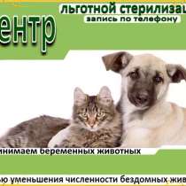 Льготная стерилизация животных, в Иркутске