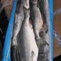 ООО "Сантарин",реализует рыбу свежемороженую,Дальневосточную, в Москве