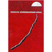 Произведения Бориса Пильняка, в Липецке