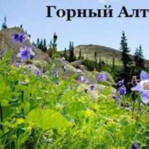 Активные туры по Алтаю от 5 до 13 дней, в Москве