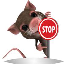 Борьба с крысами, в Москве