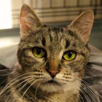 Ласковая Кассиопея, в Москве