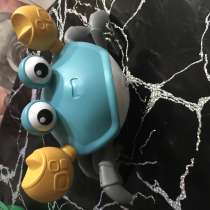 Крабик, в Белгороде