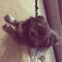 На вязку Лениногорск, в Лениногорске