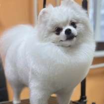 Вязка(мальчик), в Магнитогорске