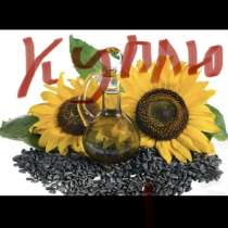 Куплю семечки дорого быстро любой способ оплаты, в Оренбурге