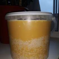 Мёд подсолнуха 7,5кг, в Смоленске